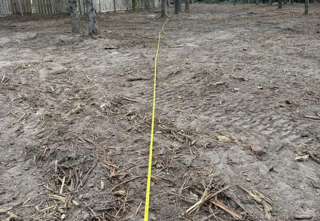 Cedar-cleared ground showing mulch cover and retained hardwoods